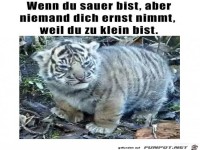 Ich bin sauer