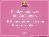 Fehler sind was fuer Anfaenger