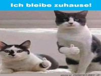 Daumen hoch f�r alle, die daheim bleiben