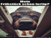 Ist das Fr�hst�ck schon fertig?