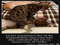 Hund ist ein Verr�ter