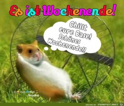 Chillig-bleiben.jpg auf www.funpot.net