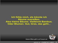 Ich f�hle mich, als k�nnte ich B�ume ausrei�en