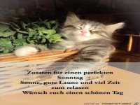 Ein perfekter Sonntag