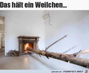 Gro�es-St�ck-Brennholz.jpg auf www.funpot.net