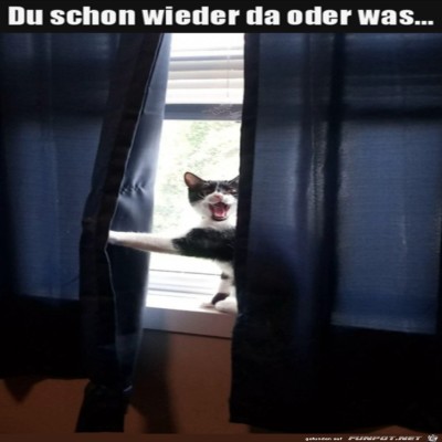 Was-machst-du-hier?.jpg von Supersusi