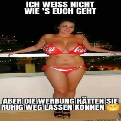 Die-Werbung-h&auml;tten-sie-weglassen-k&ouml;nnen.jpg von Thies