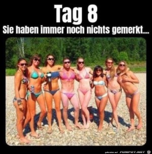 Tag-8.jpg auf www.funpot.net