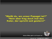 Weißt du, wo unser Papagei ist?