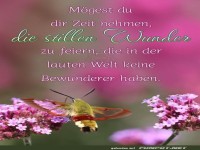 Mgest du dir Zeit nehmen