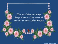 Was uns das Leben bringt