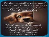 Huhu wollte nur mal schaun