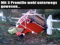 Nikolaus f�llt aus