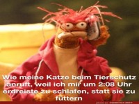 Katze ruft Tierschutz an wegen F�tterungszeit