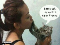 Katzenliebe mit humorvollem Twist