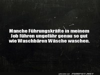 Witz ber Fhrungsstrke