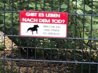 Warnschild am Zaun mit Frage und Hundesymbol