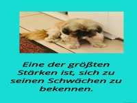 eine der grten strken ist