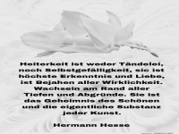 HEITERKEIT IST WEDER TNDELEI