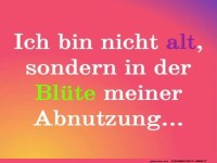 Bl�te meiner Abnutzung