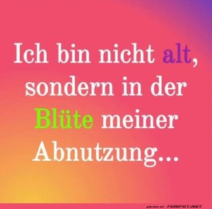 fun-Bild: Blüte meiner Abnutzung