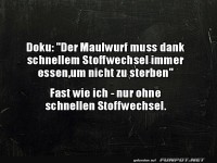 Maulwurf und ich: Stoffwechsel-Drama