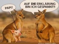 Wer hat das Schwein ins Beuteltier eingeschleust?