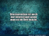 Dressurreiten mal anders