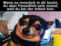 Wenn Bellos Pokerface bei der Arbeit gefragt ist