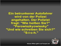 Ein betrunkener Autofahrer wird von der Polizei angehalten