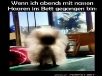 Morgens: Frisurenchaos Deluxe!
