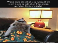 Wenn der Sofakampf real wird