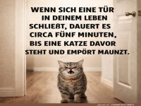 Katze als T�r-Drama Queen