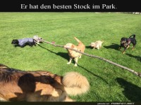 Das ist ein Stockkampf im Park!