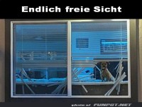 Freie Sicht geschaffen