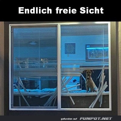 Freie-Sicht-geschaffen.jpg von Erwin32