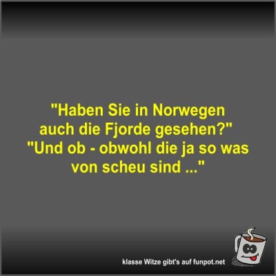 Haben-Sie-in-Norwegen-auch-die-Fjorde-gesehen?.jpg von Fossy