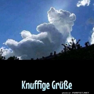 Bärige-Grüße.jpg von Nachtstern