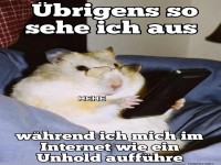 Die geheime Identit�t eines Internet-Trolls!