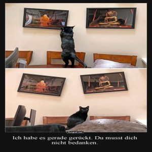Wenn-die-Katze-Kunstkritiker-wird.jpg von Gabriel