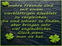 Kleeblatt-Jagd auf Freundschaft!
