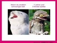 So �ndern sich die Zeiten