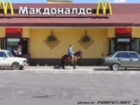 pferd-mc-donalds