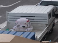 Gut wenn man sein Baerchen dabei hat