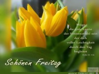 M�ge die gute Laune