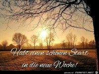Sch�nen Start