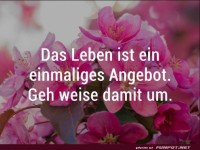 Das Leben ist