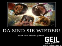 Da sind sie wieder