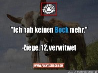Keinen Bock mehr
