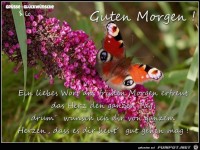 Guten Morgen